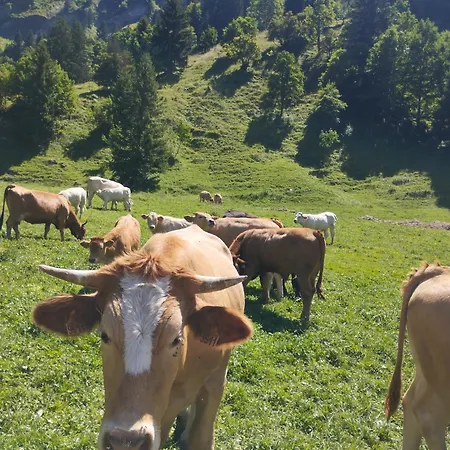 Apartmán Le Du Val Flumet