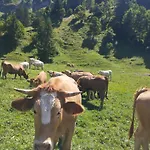 公寓 Le Du Val 弗吕梅